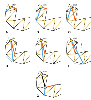 String Pulling Process